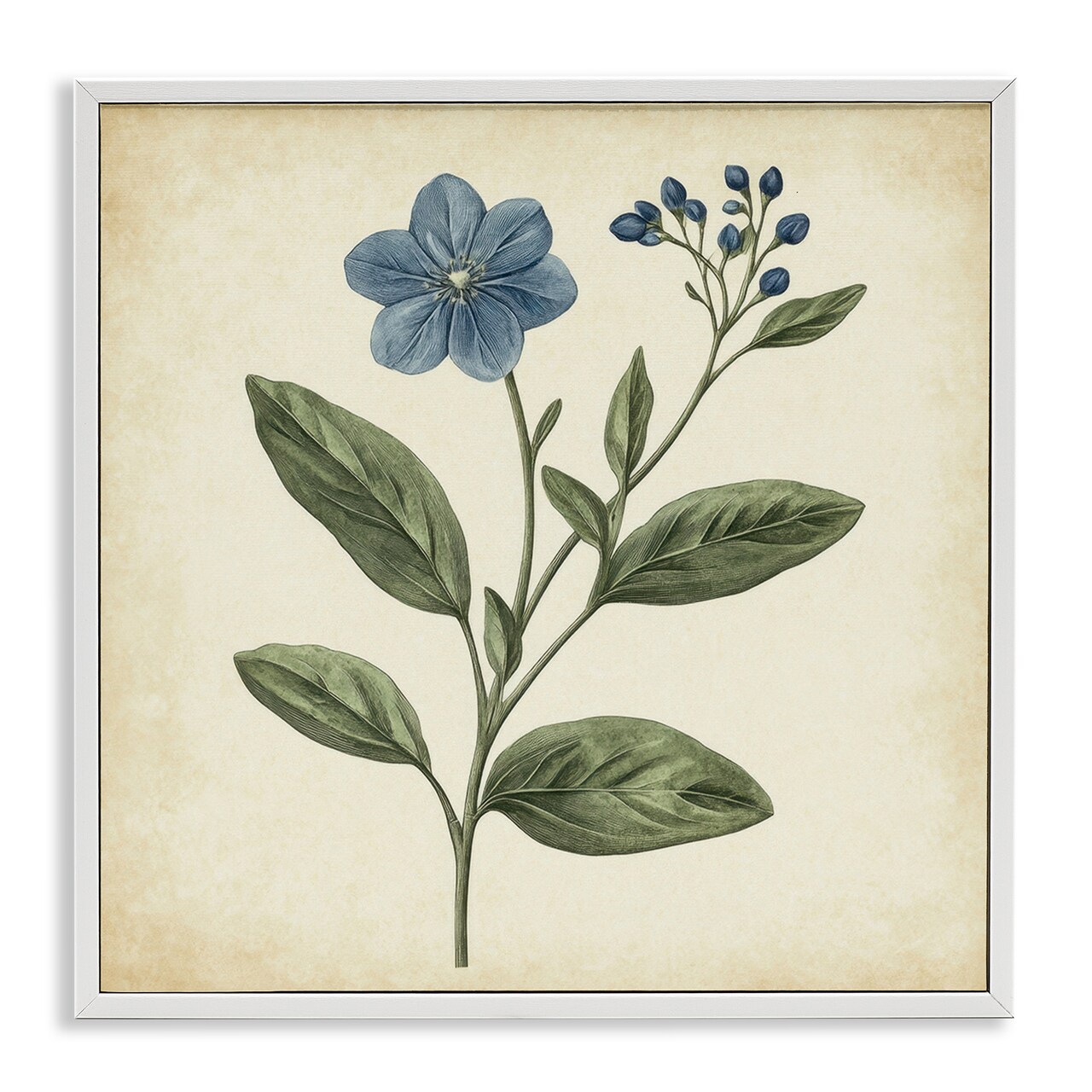 Stupell Industries Vintage Blue Blossoms Wildflower Framed Giclee, design by Petal Prints Design